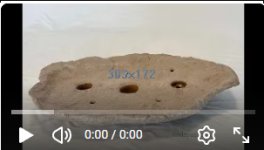 video of bonsai slab