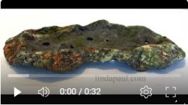 video of lichen bonsai pot