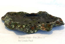 side view lichen bonsai pot