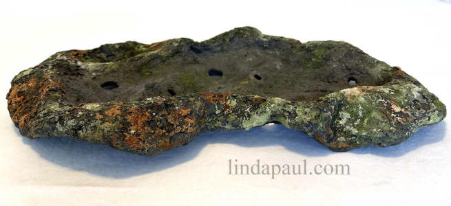 lichen look bonsai slab pot