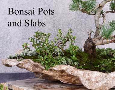 bonsai pots and slabs for sale