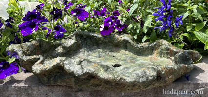 dark green bonsai pot