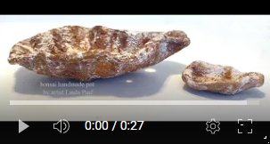 image for bonsai pot  video