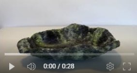 video of green bonsai pot